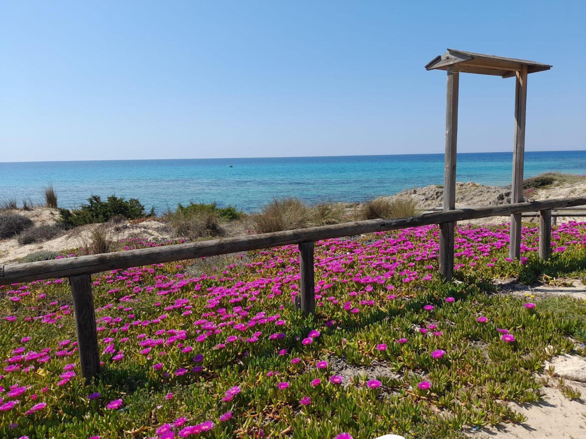 Home Salento 1 Торре-Вадо Экстерьер фото